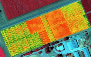ndvi farm