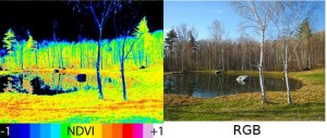 ndvi-vis-comparison